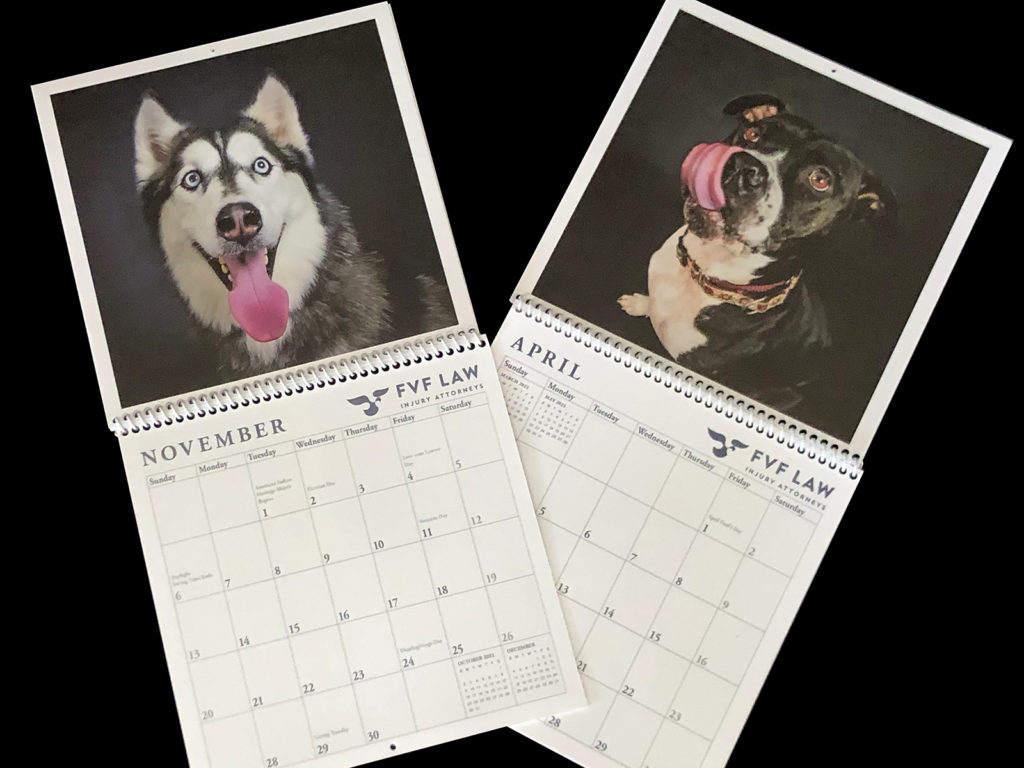 Photo of Dog Calendar showing binding